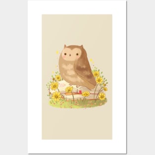 Owl and books Posters and Art